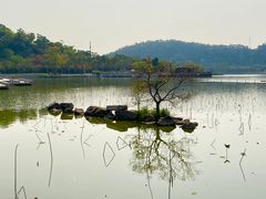 -顺峰山公园