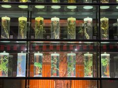 -广东中医药博物馆
