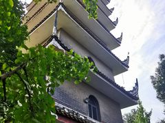 -生宇山珍野生菌汤锅•始于1999(双流古塔店)