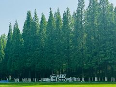 -宜兴龙背山森林公园