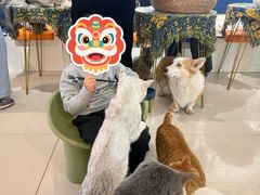 -平行世界·猫咖(首经贸店)
