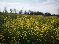 -呈贡滇池生态湿地公园