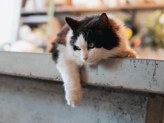 -自由生长植物工作室(深港花卉中心店)