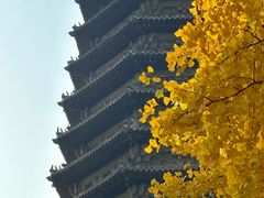 -玲珑塔公园