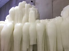 -宁波冰雪大世界(北仑区)