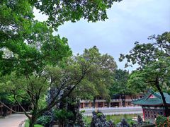 -广东圆玄道观