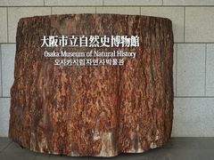 -大阪市立自然史博物馆