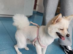 -宠颐生宠物医院·异宠猫科内科·诊疗中心宠巢店