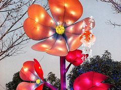 -花博汇(知音花月夜)