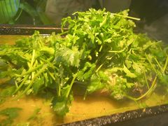 -炉鱼(爱琴海购物公园店)