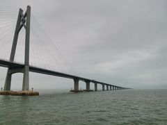 -招商蛇口邮轮母港(观光客运)