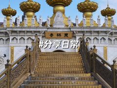 -上海东林寺(金山区)