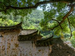-杨家堂村
