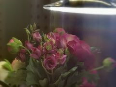 -青瓷火锅料理(西单大悦城店)