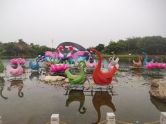 -映月湖公园