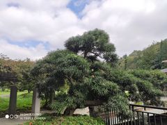 -贵州省植物园
