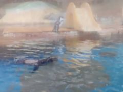 -海合安武汉极地海洋公园
