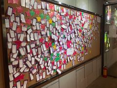 -长藤鬼校(龙翔店)