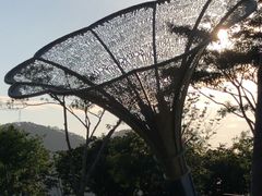 -白石龙音乐公园