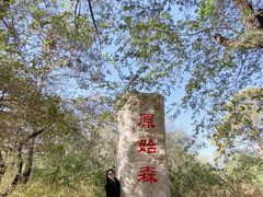 -大青沟风景区