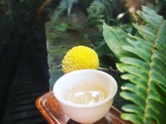 -都江堰普照寺