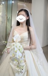 -艾米丽婚纱礼服