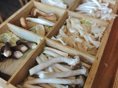 -芭夯兔·兔肉汤锅(新都店)