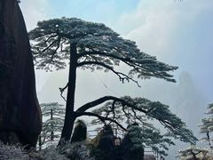 -黄山风景区