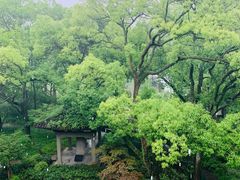 -杭州花家山庄