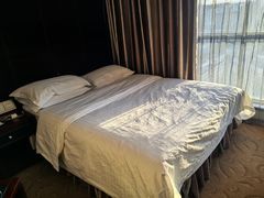 -大同王府至尊酒店(大同古城店)