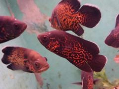 -常州海昌海洋探索馆