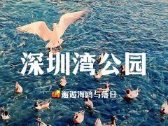 -深圳湾公园(南山区)