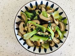 -大班家政月嫂育儿嫂(总部店)