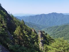 -朱雀国家森林公园