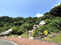 -火炉山森林公园