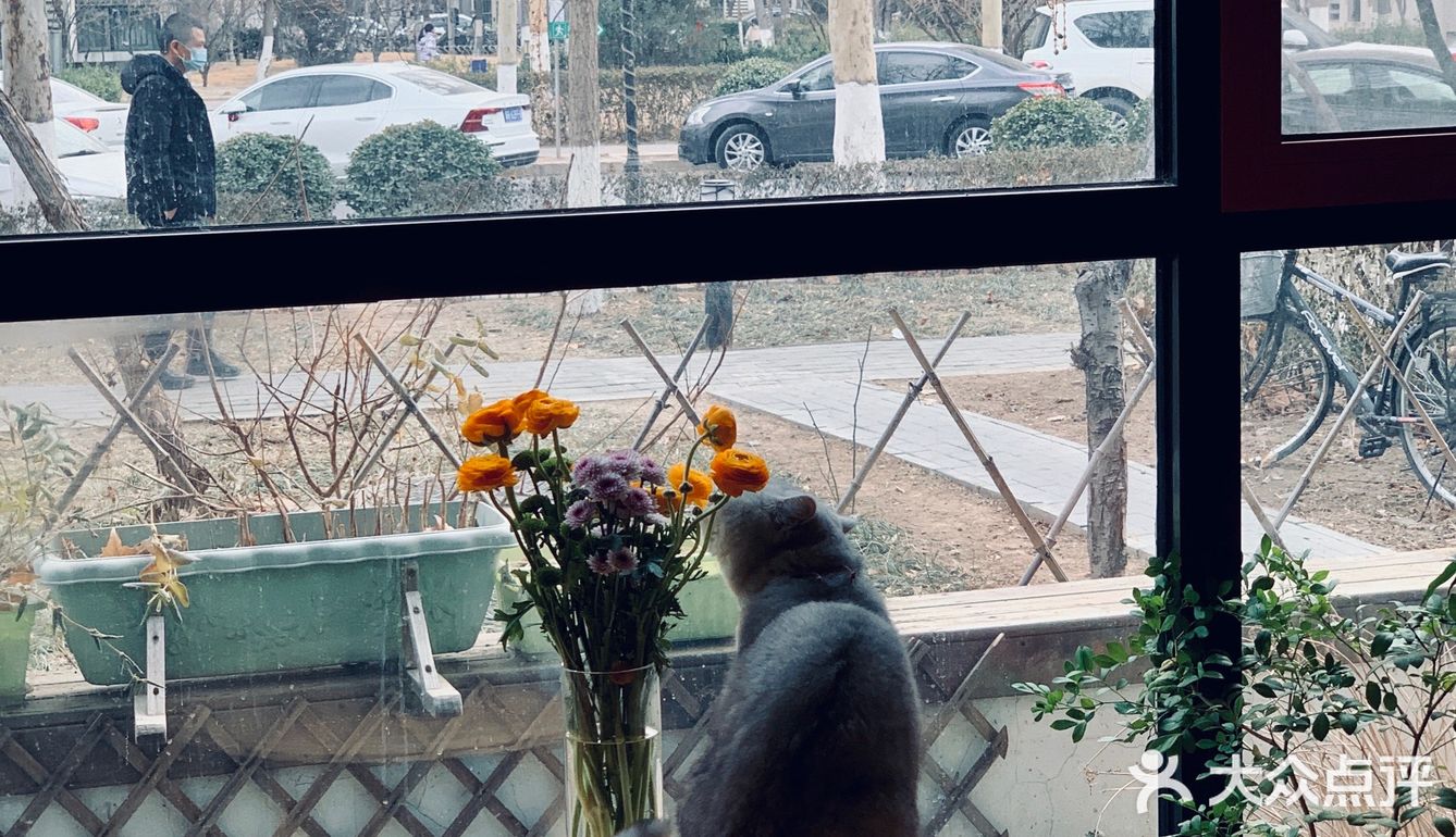 在这喝上一杯手冲，观察观察🐱们，午后时光舒服的紧[得意]