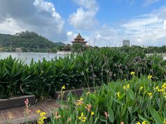 -顺峰山公园