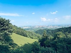 -敬亭山风景名胜区