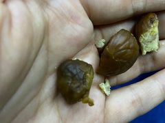 -秋栗香(地安门店)