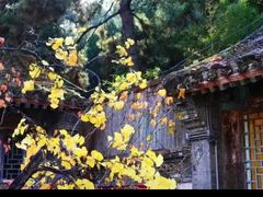 -潭柘寺景区