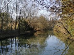 -溱湖国家湿地公园