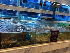 水产区-夜上海(上元大街店)