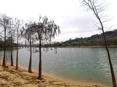 -凤岗南门山森林公园