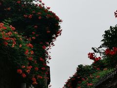 -老门东历史文化街区