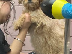 -FAELING PETS美天灵宠物(富力广场店)