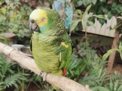 -南宫五洲植物乐园