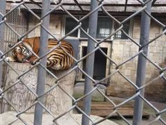 -哈尔滨北方森林动物园