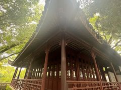 -上海醉白池公园