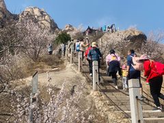 -北京凤凰岭