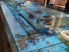 水产区-健眺小海鲜(临海后山店)